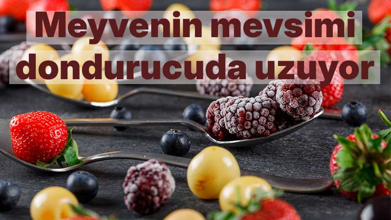 Meyvenin mevsimi dondurucuda uzuyor